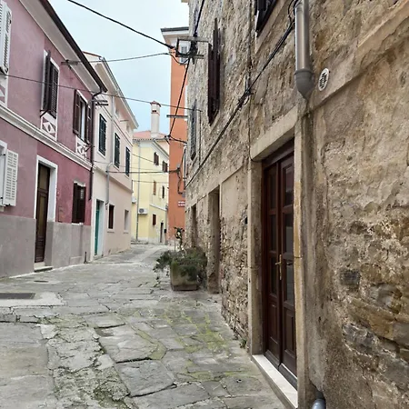 Olive's Place